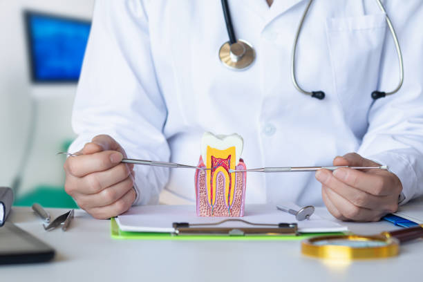 Best Emergency Wisdom Teeth Removal in Copperas Cove, TX